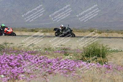 media/Feb-04-2023-SoCal Trackdays (Sat) [[8a776bf2c3]]/Turn 15 Inside Blooming (1050am)/